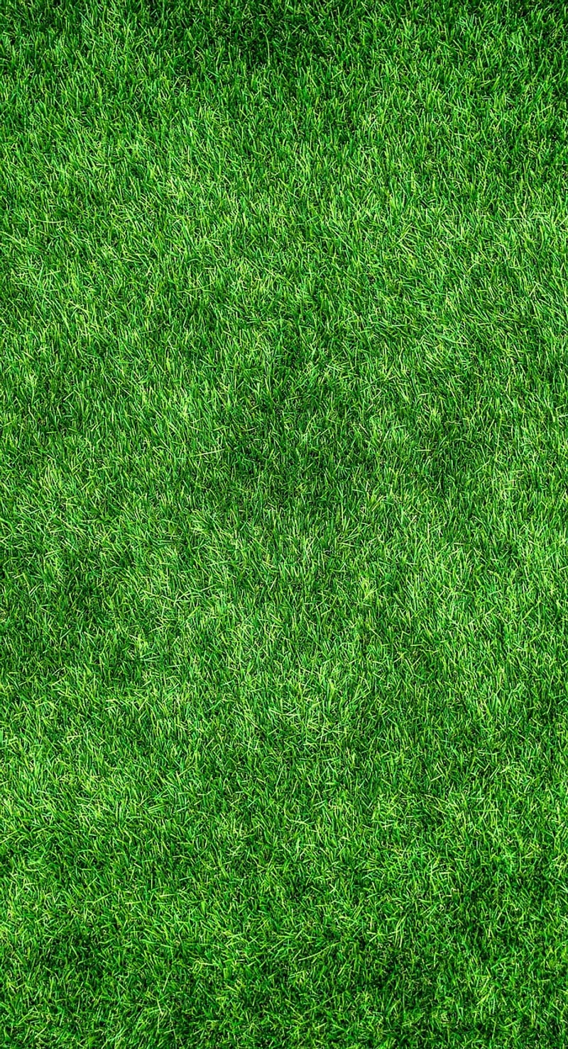 Sustainable Living Space