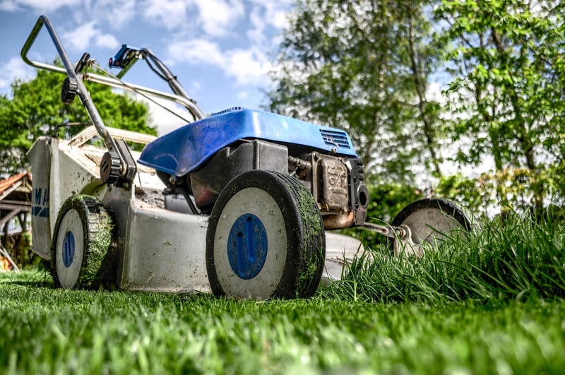 Gardening and Planting
